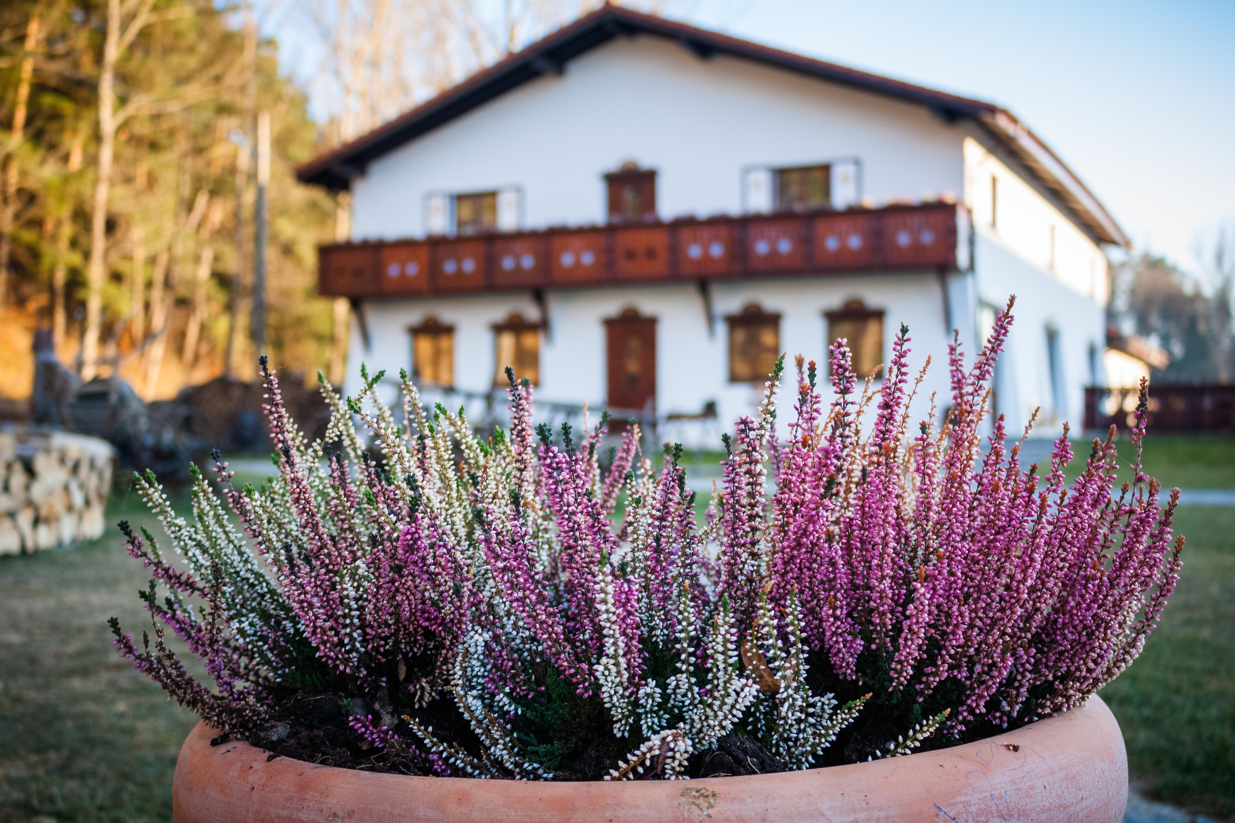 Wolkendorf Bio Hotel & Spa Brașov Exterior foto